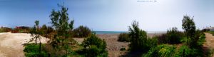 My View today- Aldea Beach - Arroyo del Alcorrín - Manilva - Málaga – Spain