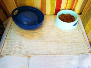 Das Handtuch ist frisch gewaschen - jetzt gibt es ein Platzdeckchen für Shiva - Tarifa – Spain