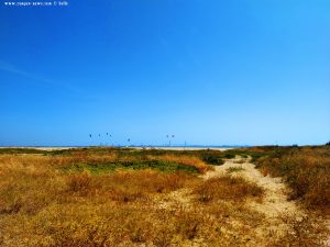 A lot of Kiters at Playa de Valdelagrana - Valdelagrana – Spain