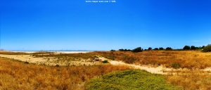 My View today - Playa de Valdelagrana - Valdelagrana – Spain