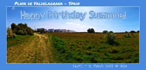 Happy Birthday Susanna! 🎀🎁🥂🍾🎂🎊🎉✨🎇🎈