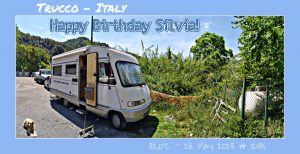 Happy Birthday Silvia! 🎀🎁🥂🍾🎂🎊🎉✨🎇🎈