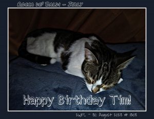 Happy Birthday Tim! 🎀🎁🥂🍾🎂🎊🎉✨🎇🎈