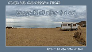 Happy Birthday Shiva! 🎀🎁🥂🍾🎂🎊🎉✨🎇🎈