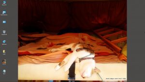 Desktop-Bild belle am 28.05.2024