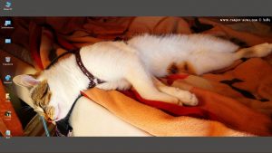 Desktop-Bild belle am 09.12.2024