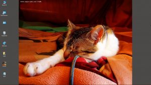 Desktop-Bild belle am 11.12.2024
