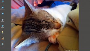 Desktop-Bild belle am 25.12.2024