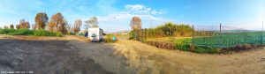 My View today - near Puerto Motril - Granada – Spain