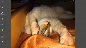 Desktop-Bild belle am 10.05.2025