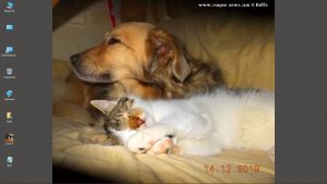 Desktop-Bild belle am 13.05.2025