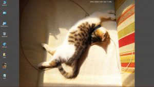 Desktop-Bild belle am 08.06.2025