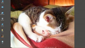 Desktop-Bild belle am 18.07.2025