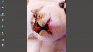 Desktop-Bild belle am 19.07.2025