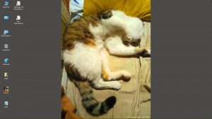 Desktop-Bild belle am 31.10.2025