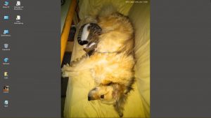 Desktop-Bild belle am 13.11.2025