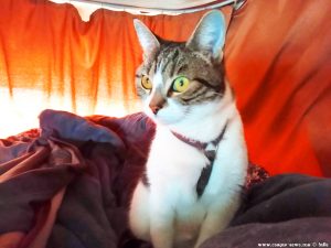 Shiva in Puerto Motril - Granada – Spain