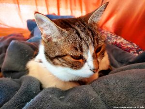 Shiva in Puerto Motril - Granada – Spain