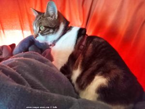 Shiva in Puerto Motril - Granada – Spain