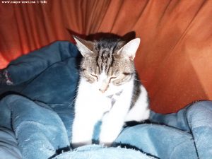 Shiva in Puerto Motril - Granada – Spain