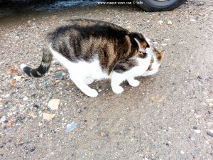 Shiva in Puerto Motril - Granada – Spain