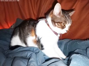 Shiva in Puerto Motril - Granada – Spain