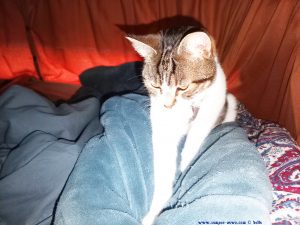 Shiva in Puerto Motril - Granada – Spain