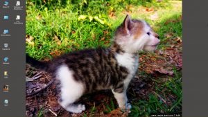 Desktop-Bild belle am 29.11.2025