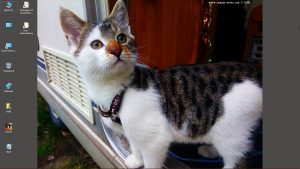 Desktop-Bild belle am 30.11.2025