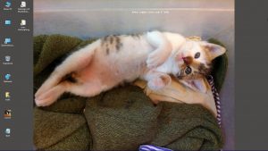 Desktop-Bild belle am 05.12.2025