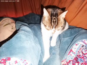 Shiva in Puerto Motril - Granada – Spain