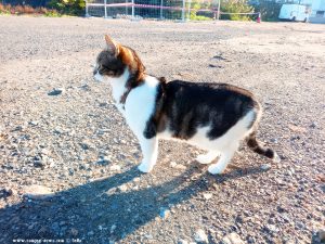 Shiva in Puerto Motril - Granada – Spain