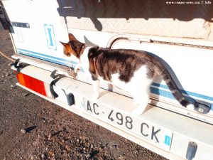 Shiva in Puerto Motril - Granada – Spain