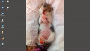 Desktop-Bild belle am 31.12.2025