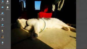 Desktop-Bild belle am 30.12.2025