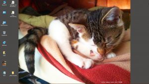 Desktop-Bild belle am 26.01.2026