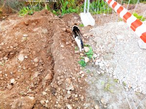 Shiva in Puerto Motril - Granada – Spain