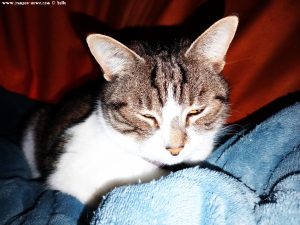 Shiva in Puerto Motril - Granada – Spain