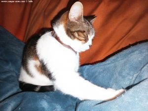 Shiva in Puerto Motril - Granada – Spain