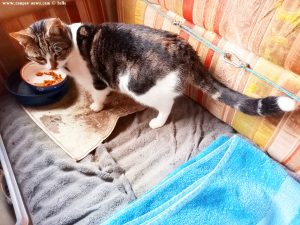 Shiva in Puerto Motril - Granada – Spain