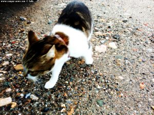 Shiva in Puerto Motril - Granada – Spain