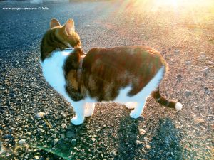 Shiva in Puerto Motril - Granada – Spain