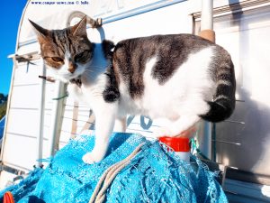 Shiva in Puerto Motril - Granada – Spain