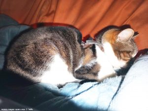 Shiva in Puerto Motril - Granada – Spain