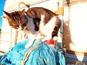 Shiva in Puerto Motril - Granada – Spain