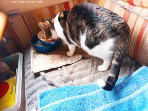 Shiva in Puerto Motril - Granada – Spain