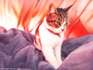 Shiva in Puerto Motril - Granada – Spain