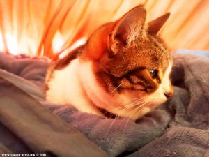 Shiva in Puerto Motril - Granada – Spain