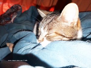 Shiva in Puerto Motril - Granada – Spain