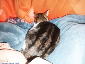 Shiva in Puerto Motril - Granada – Spain